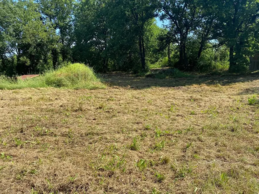 Immagine 31 di Azienda agricola in vendita  a Fucecchio