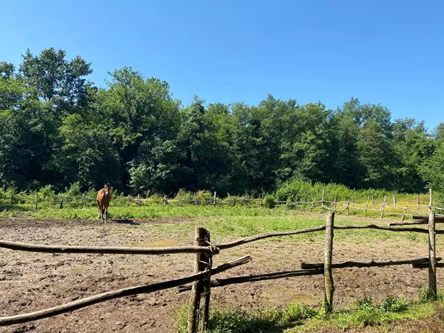 Immagine 21 di Azienda agricola in vendita  a Fucecchio