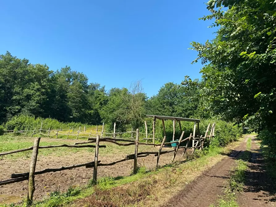 Immagine 24 di Azienda agricola in vendita  a Fucecchio