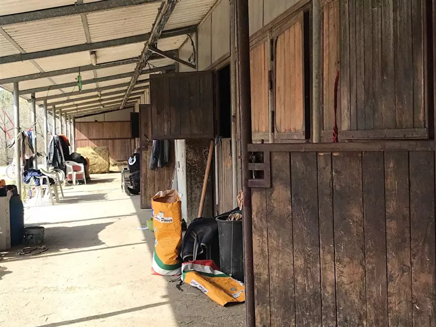 Immagine 10 di Azienda agricola in vendita  a Fucecchio