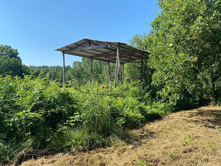 Immagine 36 di Azienda agricola in vendita  a Fucecchio