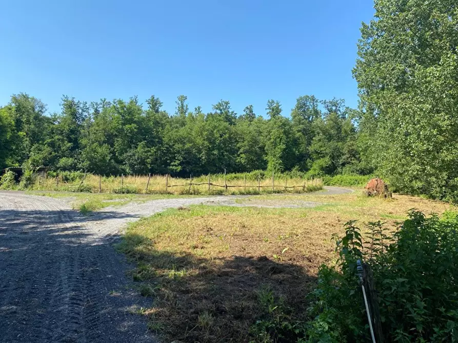 Immagine 29 di Azienda agricola in vendita  a Fucecchio