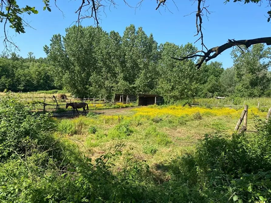 Immagine 34 di Azienda agricola in vendita  a Fucecchio