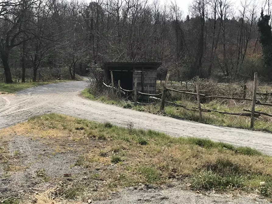 Immagine 3 di Azienda agricola in vendita  a Fucecchio
