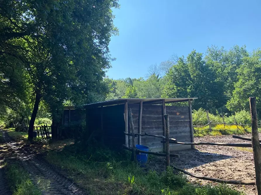Immagine 20 di Azienda agricola in vendita  a Fucecchio