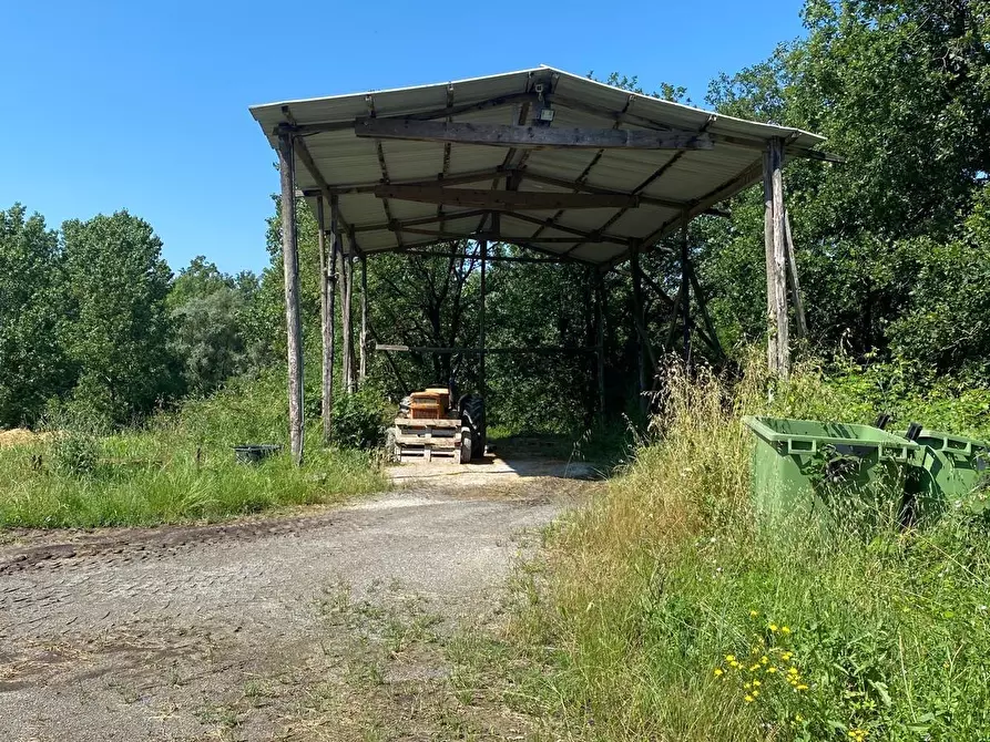 Immagine 33 di Azienda agricola in vendita  a Fucecchio