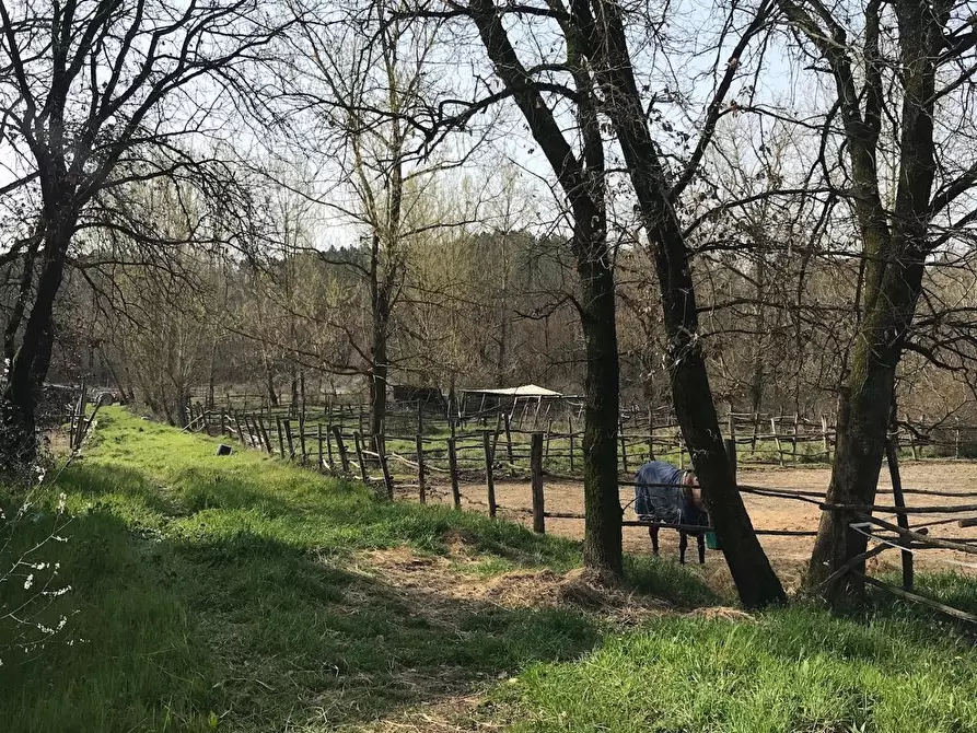 Immagine 2 di Azienda agricola in vendita  a Fucecchio