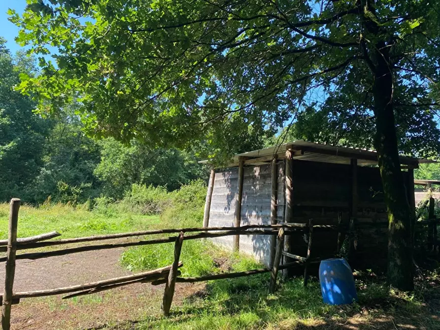 Immagine 14 di Azienda agricola in vendita  a Fucecchio