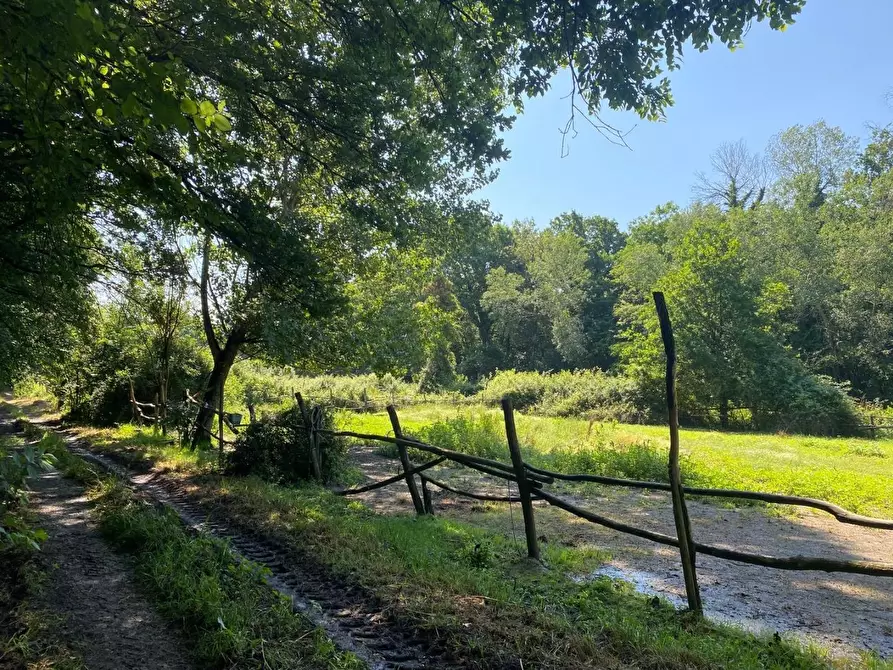 Immagine 23 di Azienda agricola in vendita  a Fucecchio