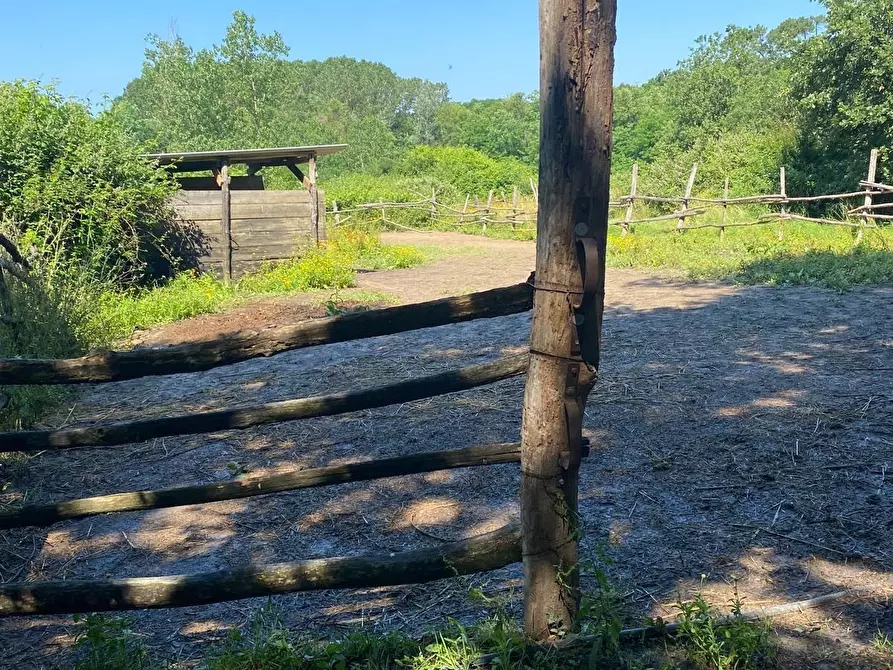 Immagine 12 di Azienda agricola in vendita  a Fucecchio