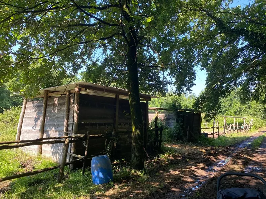 Immagine 15 di Azienda agricola in vendita  a Fucecchio