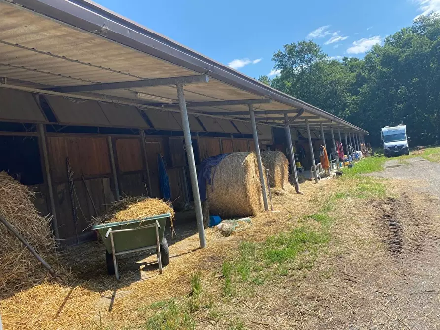 Immagine 35 di Azienda agricola in vendita  a Fucecchio