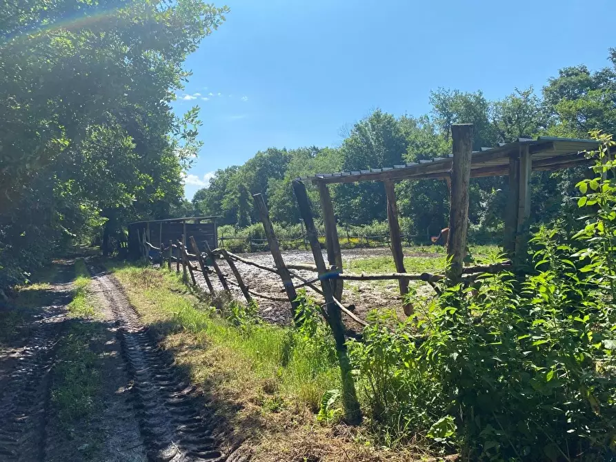 Immagine 28 di Azienda agricola in vendita  a Fucecchio