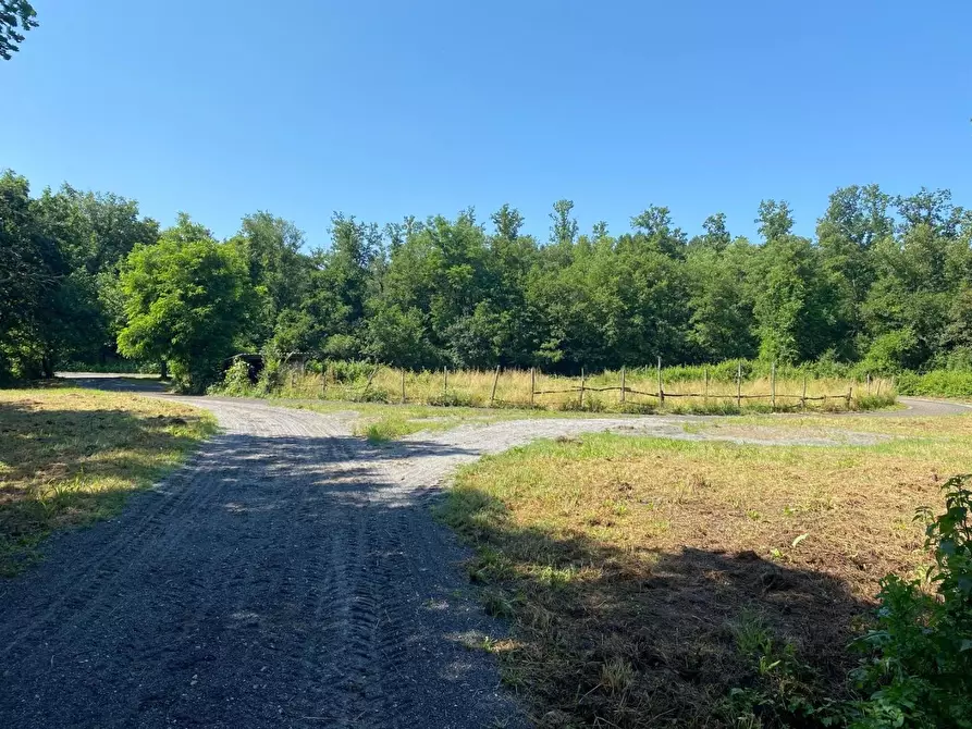 Immagine 30 di Azienda agricola in vendita  a Fucecchio