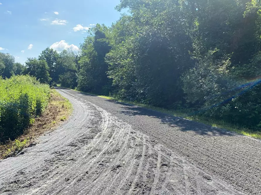 Immagine 26 di Azienda agricola in vendita  a Fucecchio