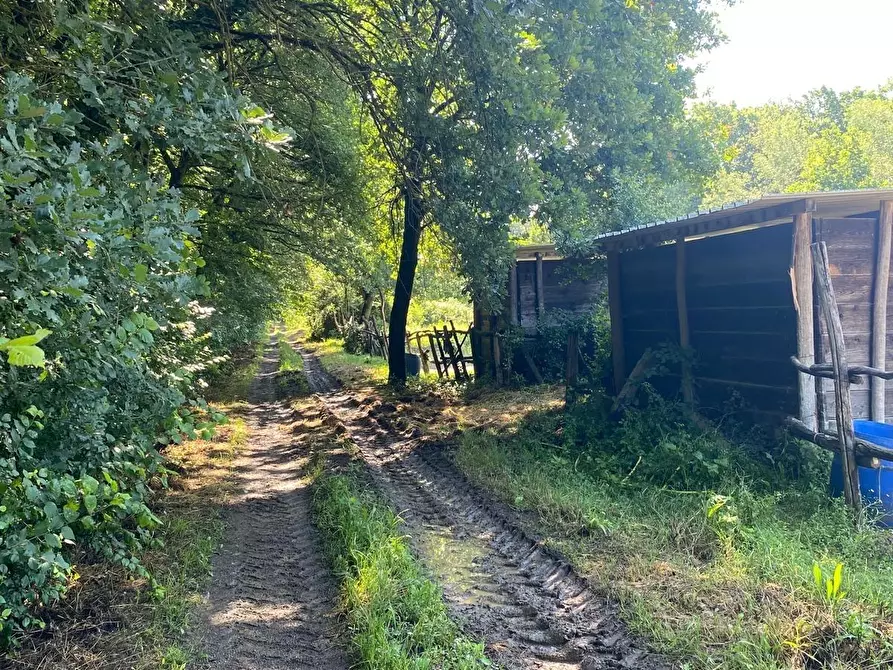 Immagine 22 di Azienda agricola in vendita  a Fucecchio