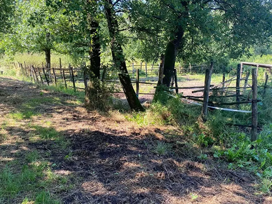 Immagine 18 di Azienda agricola in vendita  a Fucecchio