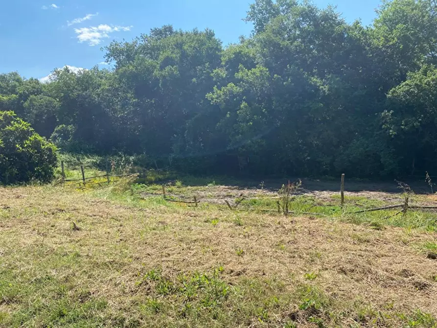 Immagine 32 di Azienda agricola in vendita  a Fucecchio