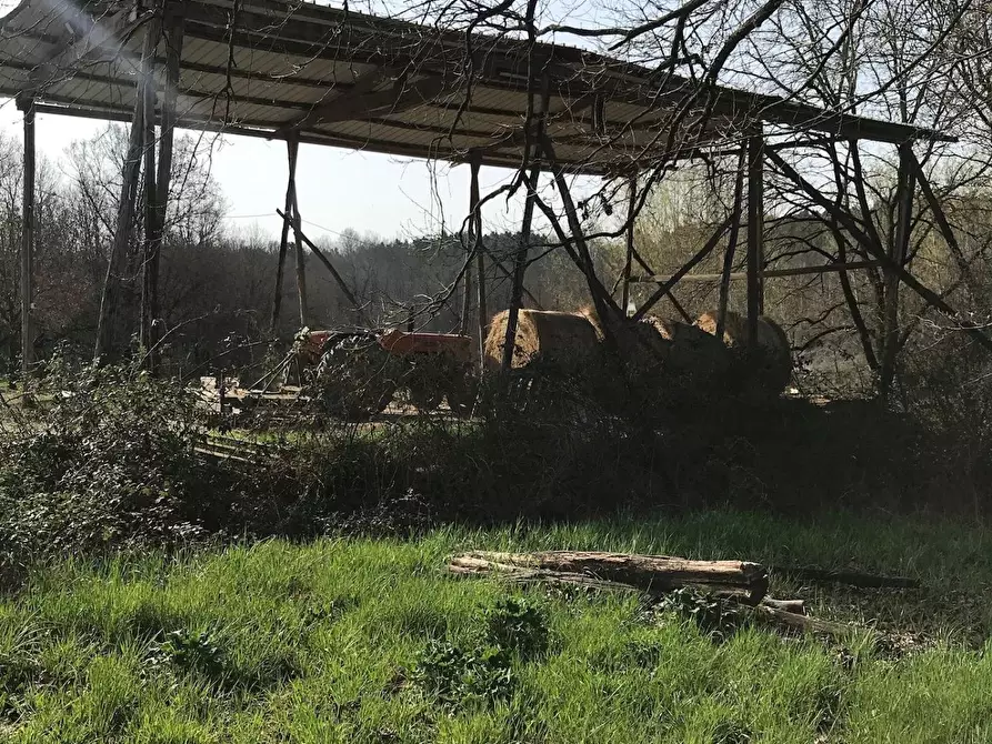 Immagine 5 di Azienda agricola in vendita  a Fucecchio