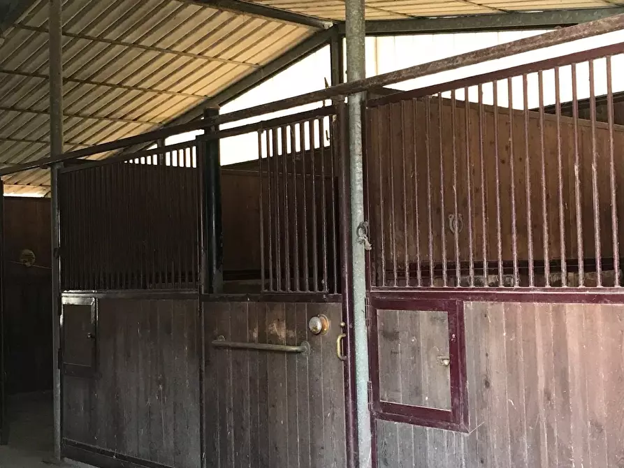 Immagine 11 di Azienda agricola in vendita  a Fucecchio