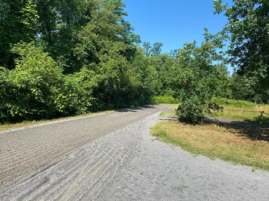 Immagine 27 di Azienda agricola in vendita  a Fucecchio