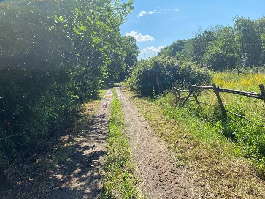 Immagine 25 di Azienda agricola in vendita  a Fucecchio