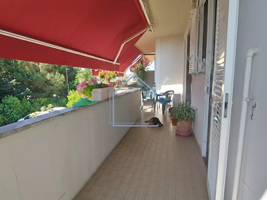 Immagine 9 di Appartamento in vendita  a Camaiore