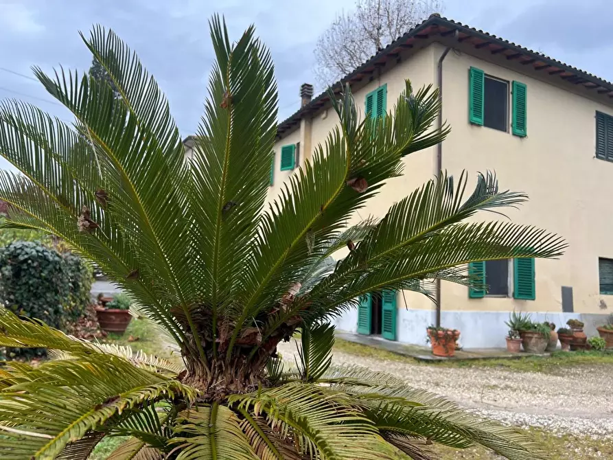 Immagine 2 di Terratetto in vendita  a Cerreto Guidi