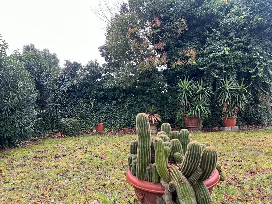 Immagine 3 di Terratetto in vendita  a Cerreto Guidi