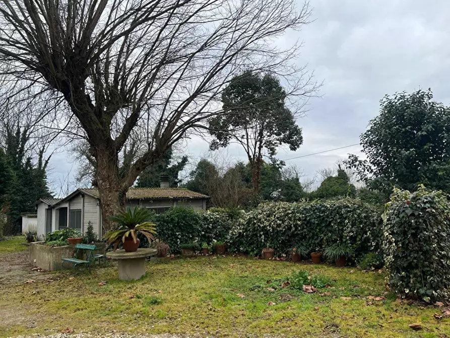 Immagine 6 di Terratetto in vendita  a Cerreto Guidi