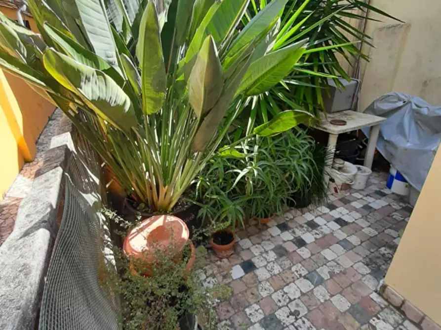 Immagine 8 di Villa in vendita  a Viareggio