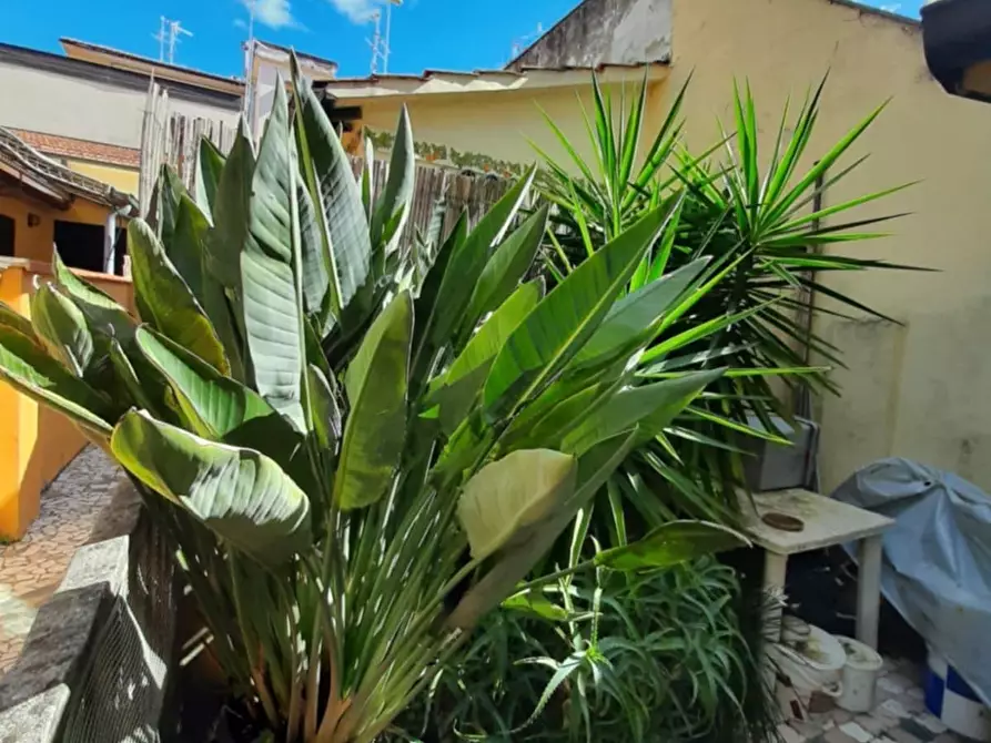 Immagine 10 di Villa in vendita  a Viareggio