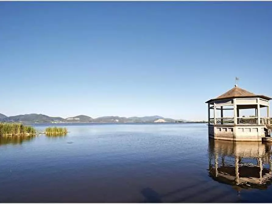 Immagine 2 di Terreno agricolo in vendita  a Viareggio