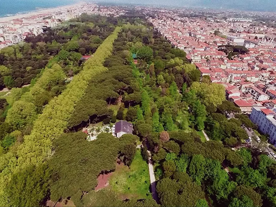 Immagine 1 di Terreno agricolo in vendita  a Viareggio