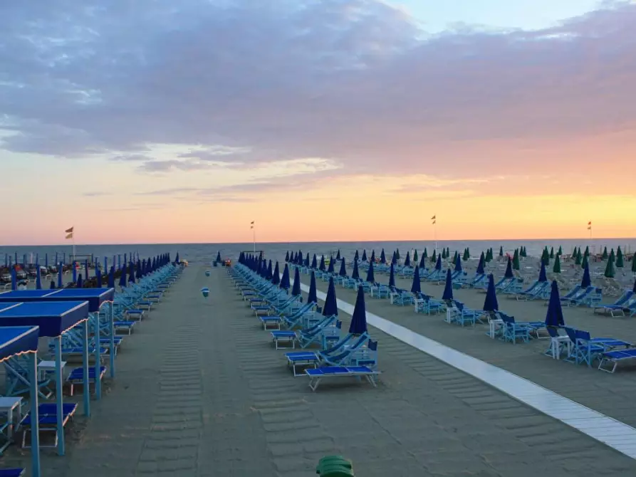 Immagine 3 di Terreno agricolo in vendita  a Viareggio