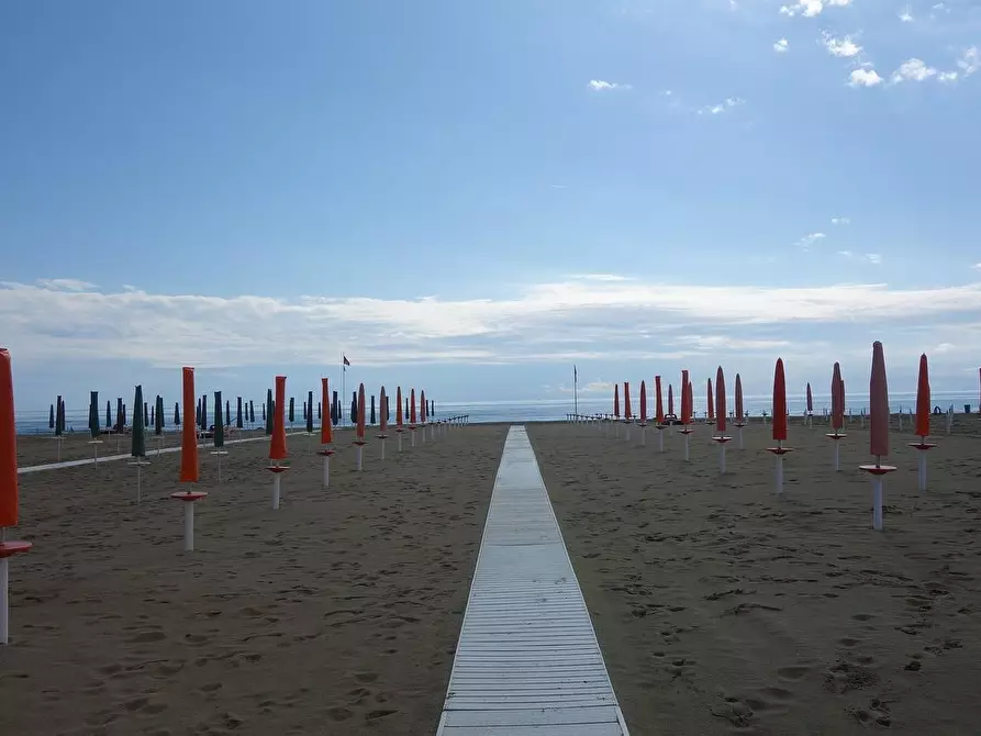 Immagine 11 di Terreno agricolo in vendita  a Viareggio