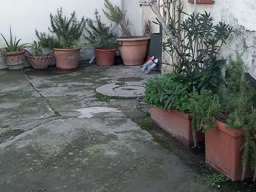 Immagine 3 di Casa bifamiliare in vendita  a Santa Maria A Monte