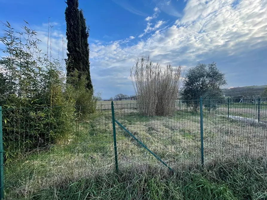 Immagine 36 di Appartamento in vendita  a Monteroni D'arbia