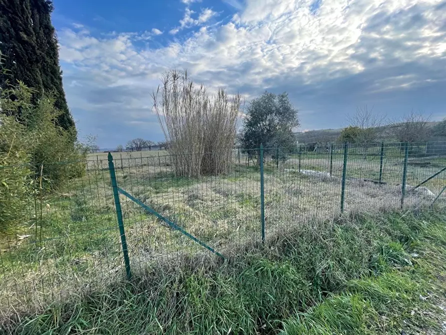 Immagine 35 di Appartamento in vendita  a Monteroni D'arbia