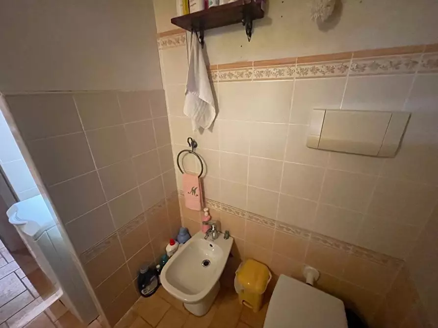 Immagine 25 di Appartamento in vendita  a Monteroni D'arbia