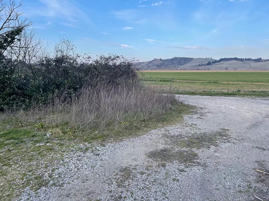 Immagine 39 di Appartamento in vendita  a Monteroni D'arbia