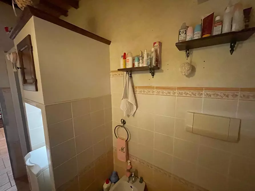 Immagine 24 di Appartamento in vendita  a Monteroni D'arbia