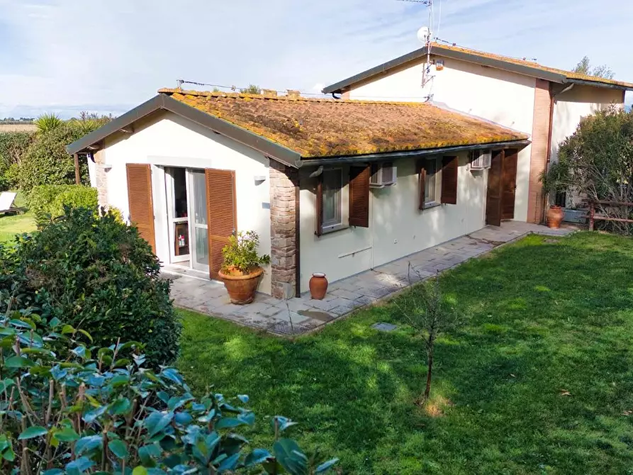 Immagine 3 di Appartamento in vendita  a Piombino