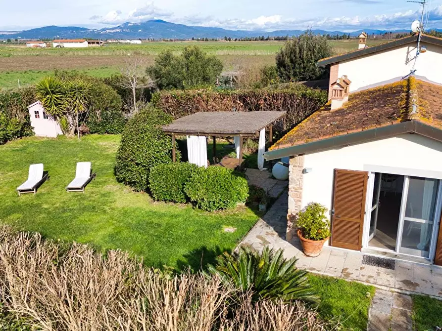 Immagine 4 di Appartamento in vendita  a Piombino