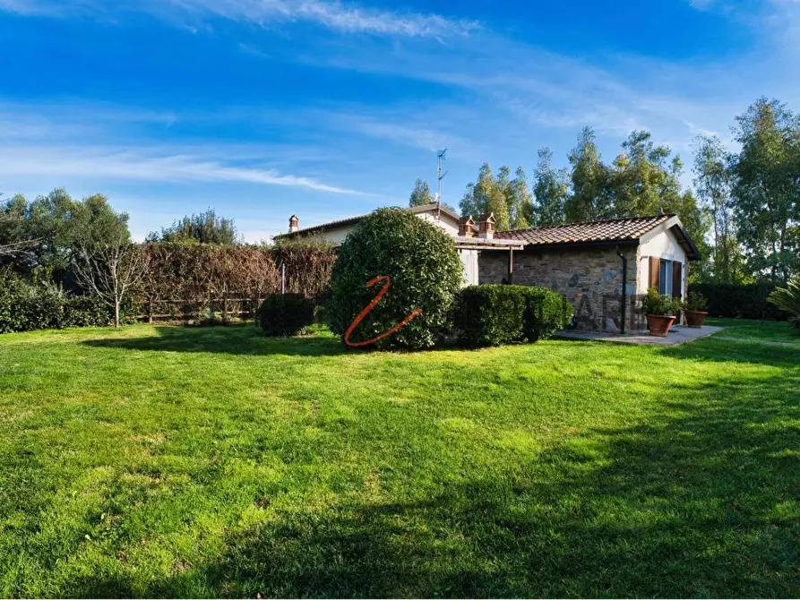 Immagine 6 di Appartamento in vendita  a Piombino