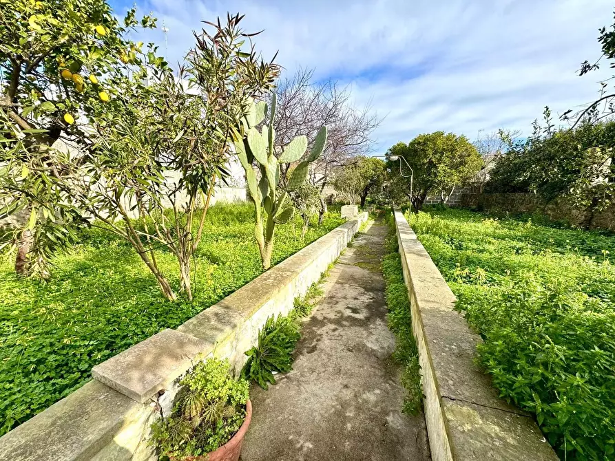 Immagine 30 di Casa indipendente in vendita  a Monteroni Di Lecce