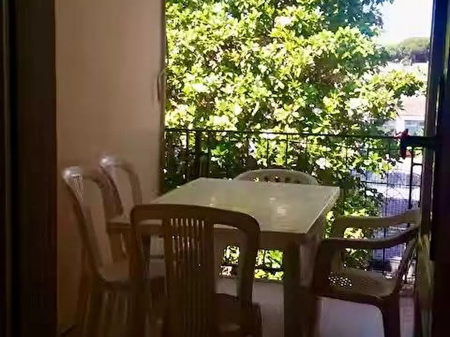 Immagine 13 di Appartamento in affitto  a Pisa