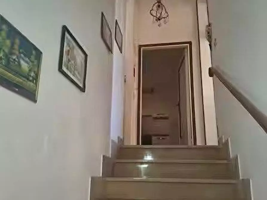 Immagine 11 di Appartamento in affitto  a Pisa