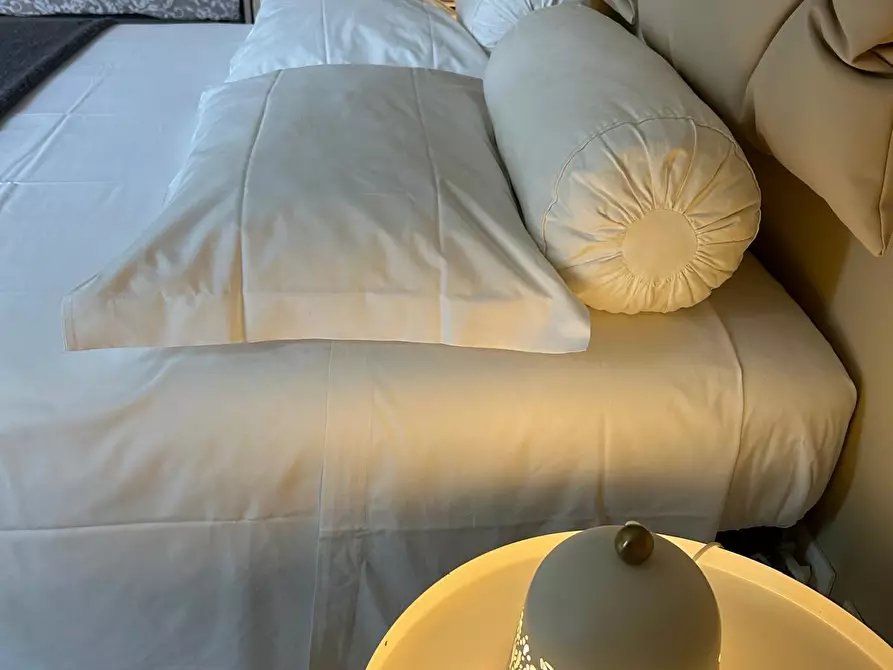 Immagine 14 di Appartamento in affitto  a Pisa