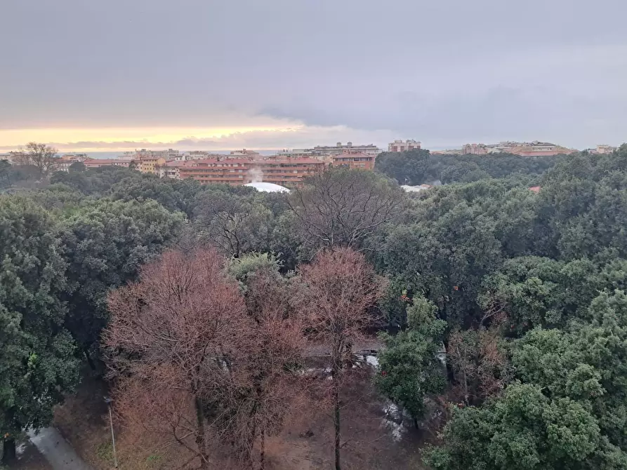 Immagine 14 di Appartamento in vendita  a Livorno